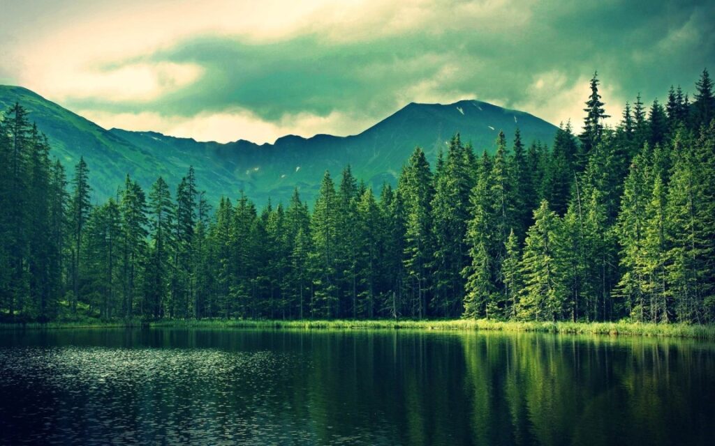 lake with forest and mountains in the background